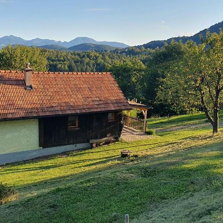 Hiska Ob Gozdu Villa Polzela Dış mekan fotoğraf