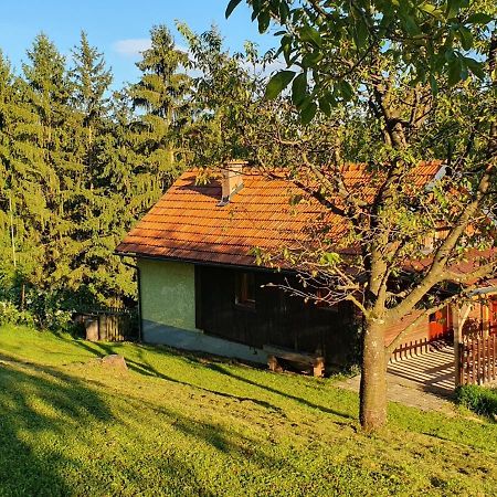 Hiska Ob Gozdu Villa Polzela Dış mekan fotoğraf