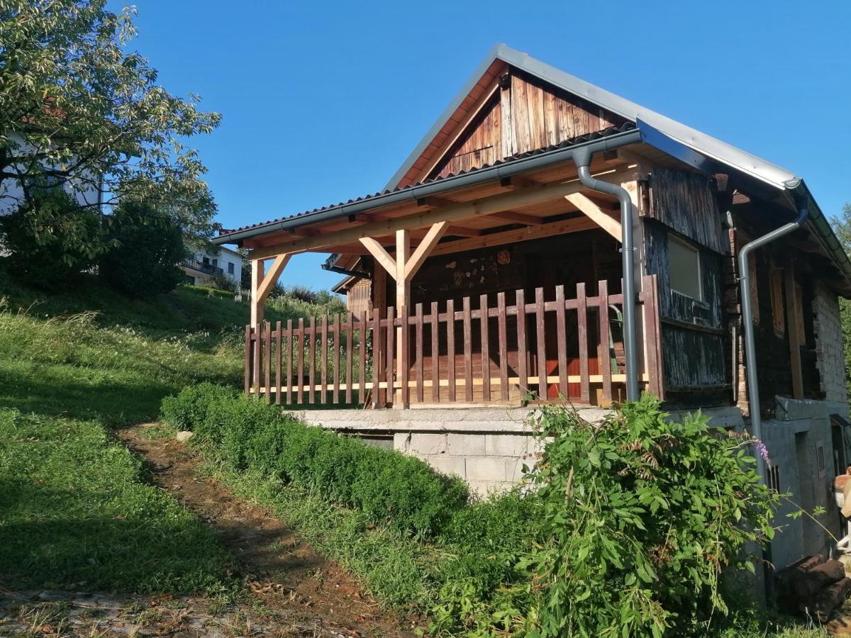 Hiska Ob Gozdu Villa Polzela Dış mekan fotoğraf
