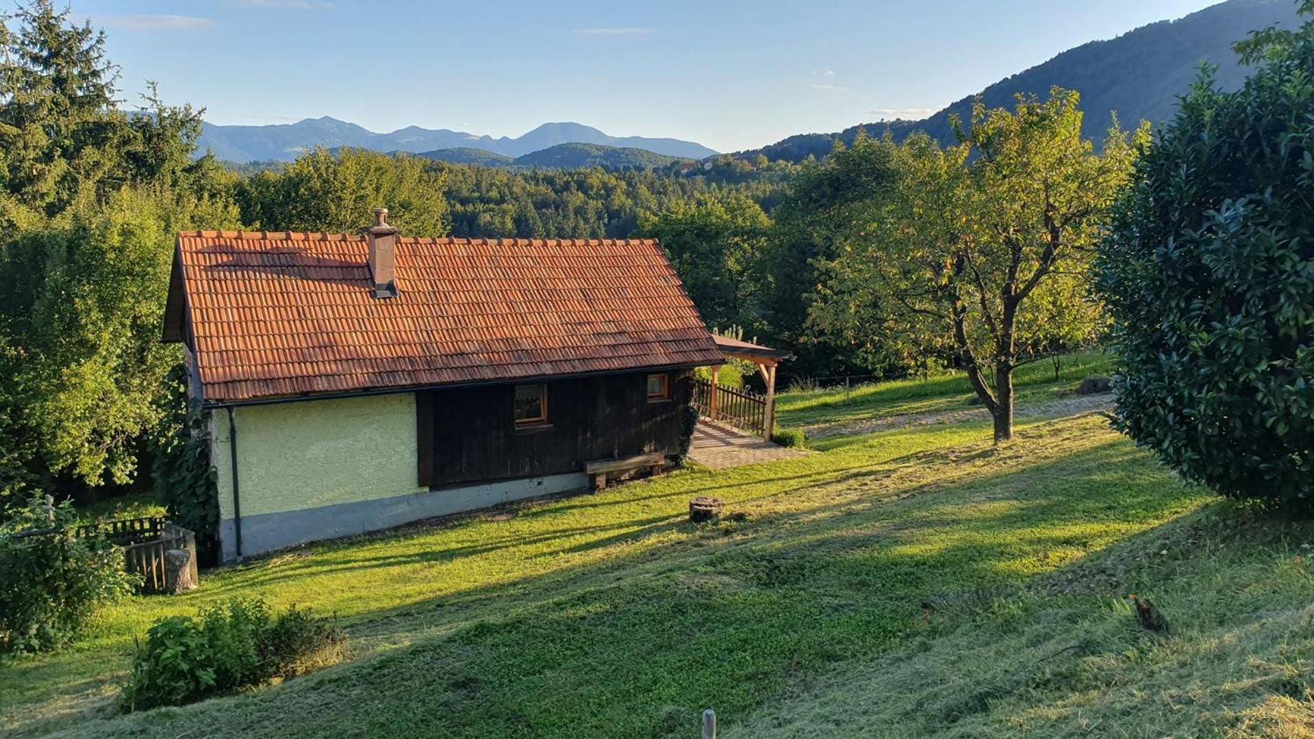 Hiska Ob Gozdu Villa Polzela Dış mekan fotoğraf