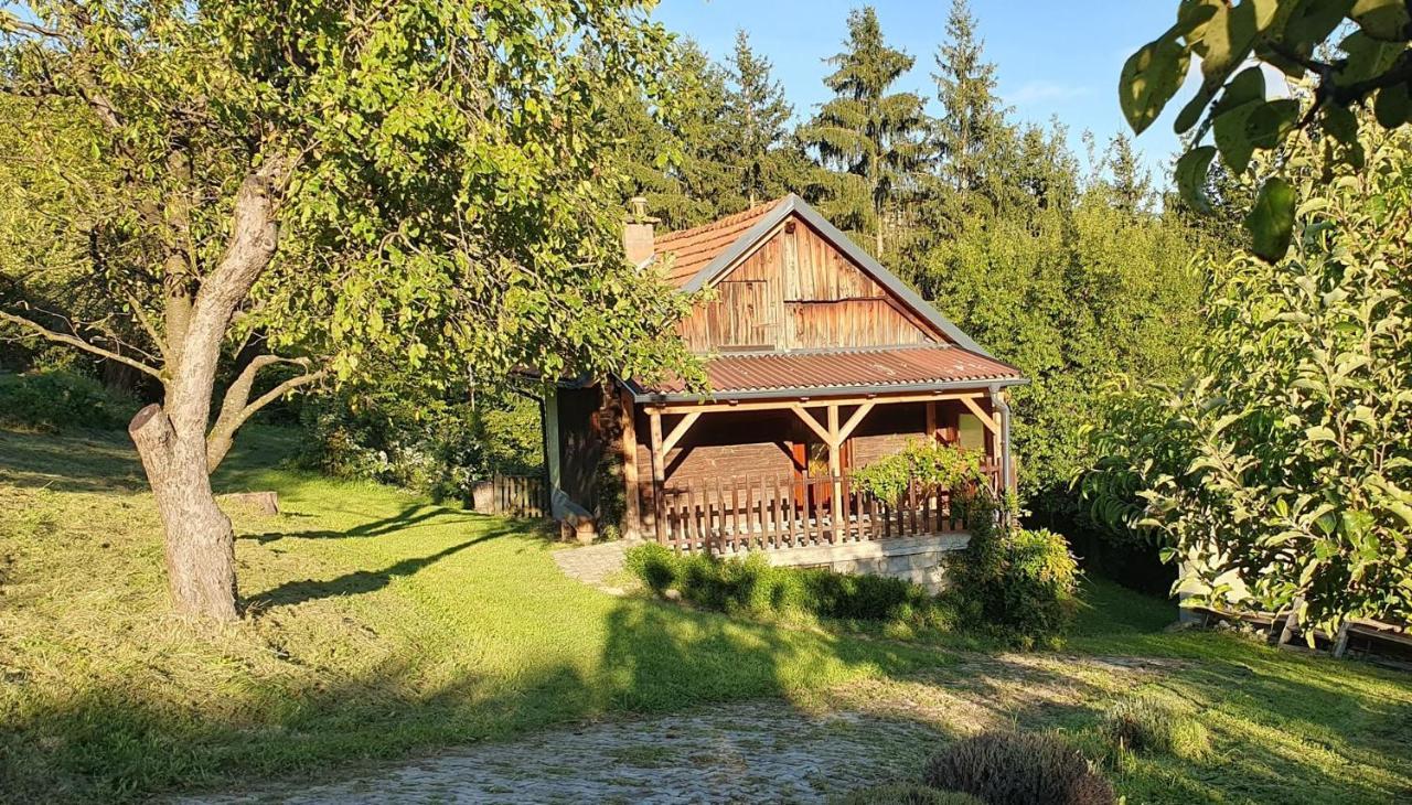 Hiska Ob Gozdu Villa Polzela Dış mekan fotoğraf